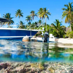 Este atol impressionante oferece mergulhos inesquecíveis com golfinhos, tubarões e raias-manta. Um destino ideal para quem procura aventura subaquática.