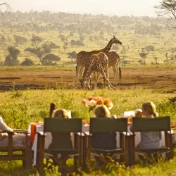 Private conservation area, ideal for those seeking exclusive safaris and authentic interaction with local communities.