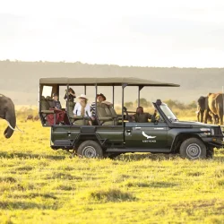 Known for the Great Migration and luxury lodges, offering an authentic and exclusive African wildlife experience.