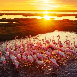 This alkaline lake is famous for thousands of pink flamingos and diverse wildlife including rhinos.