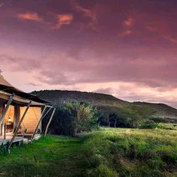 One of Kenya's largest reserves, with dramatic landscapes and an impressive variety of wildlife.