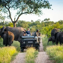 One of the world's best safari destinations, with luxury lodges and the chance to see the Big Five.