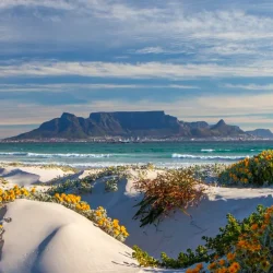 One of the natural wonders of the world, offering impressive panoramic views and breathtaking trails above Cape Town.