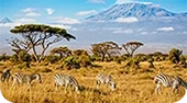 África